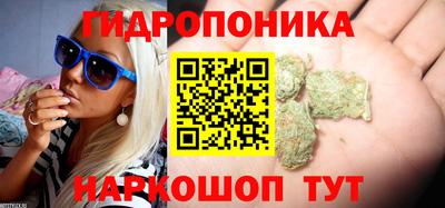 таблы Новокубанск
