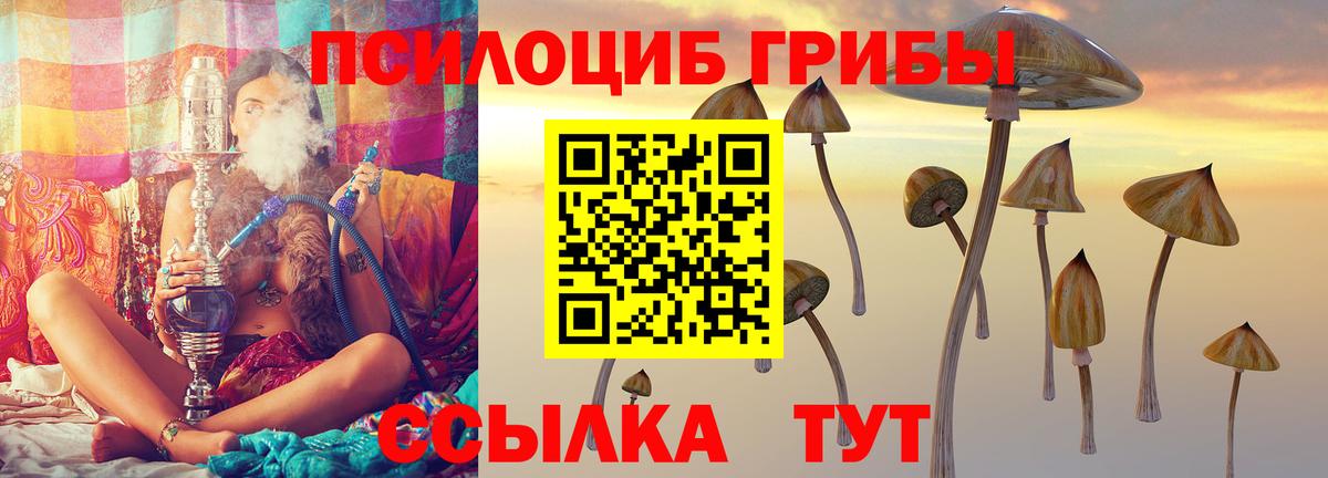 Буйнакск  Псилоцибиновые грибы Cubensis  купить наркоту  Псилоцибиновые грибы мухоморы  Вход с VPN 